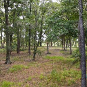Photo #4 of 334 Brickwell Ln., Pawleys Island, SC 4.0 acres