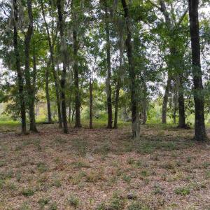 Photo #22 of 334 Brickwell Ln., Pawleys Island, SC 4.0 acres