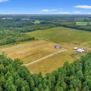 Overview of rural landscape featuring a forest