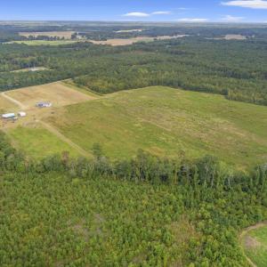 View of property location with a forest