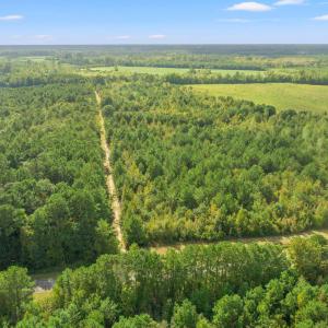 Bird's eye view of a heavily wooded area