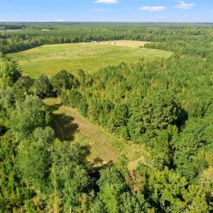 View of property location with a forest
