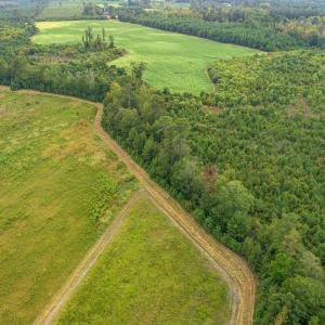View of rural area with a forest