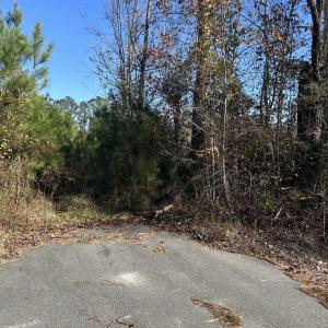 Photo #4 of TBD Apple Valley Rd., Loris, SC 8.6 acres