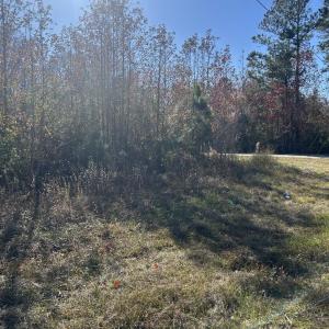 Photo #1 of TBD Apple Valley Rd., Loris, SC 8.6 acres