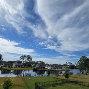 Photo #4 of 1013 Clamour Ct., Conway, SC 0.4 acres