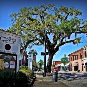 Photo #18 of 1031 Clamour Ct., Conway, SC 0.4 acres