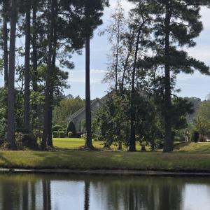 Photo #6 of 1027 Clamour Ct., Conway, SC 0.4 acres