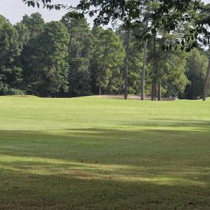 View of home's community with golf course view and