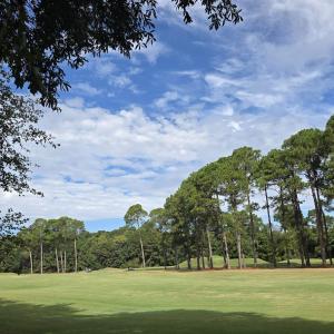 View of home's community featuring view of scatter