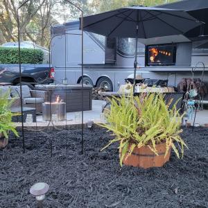 View of yard featuring a patio area