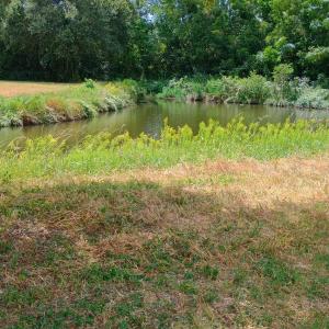 Photo #4 of TBD Cravens St., Georgetown, SC 0.1 acres