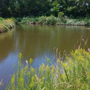 Photo #3 of TBD Cravens St., Georgetown, SC 0.1 acres