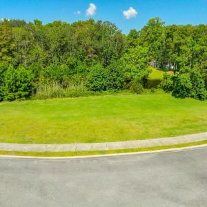 Photo #10 of Lot 54 Grassland Ln., Georgetown, SC 0.3 acres