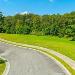 Photo #29 of Lot 54 Grassland Ln., Georgetown, SC 0.3 acres