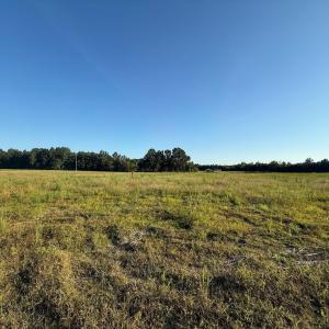 Photo #2 of 1-A Mack Rd., Conway, SC 1.6 acres