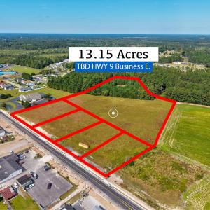 Bird's eye view of a heavily wooded area