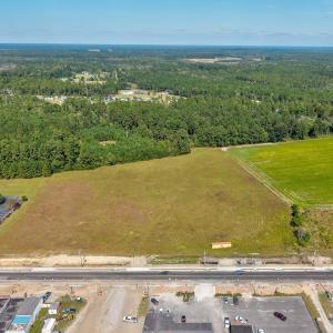 Aerial view of a forest