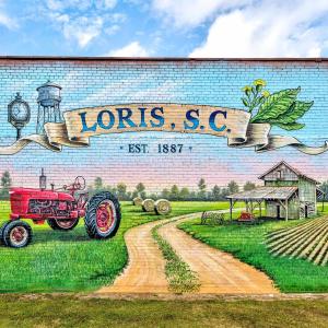 Photo #19 of TBD Highway 9 Business E, Loris, SC 13.2 acres
