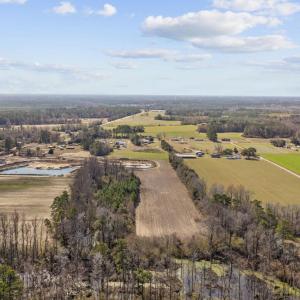 Photo #9 of Lot 5 Gurley Rd., Loris, SC 10.0 acres