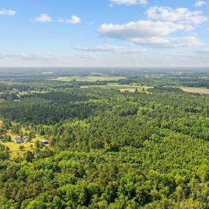 Photo #5 of TBD Lee Ln., Bennettsville, SC 43.9 acres