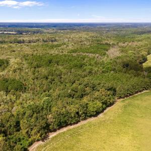 Bird's eye view of a heavily wooded area