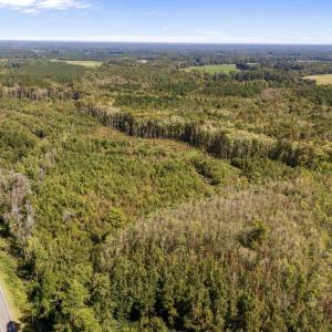 Bird's eye view of a heavily wooded area