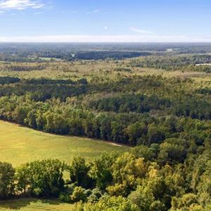 Aerial view of a heavily wooded area