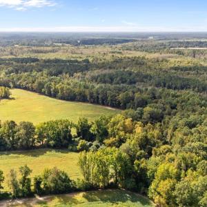Aerial view of a heavily wooded area