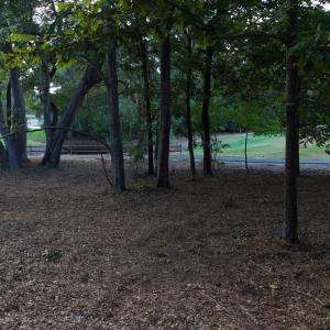 View of yard with view of scattered trees