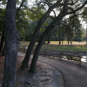 View of community featuring view of scattered tree