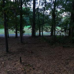 View of undeveloped land