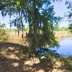 Photo #11 of Lot 5 Whitehall Ave., Georgetown, SC 18.7 acres