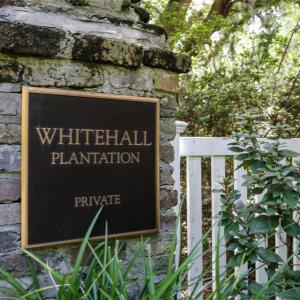 Photo #3 of Lot 5 Whitehall Ave., Georgetown, SC 18.7 acres