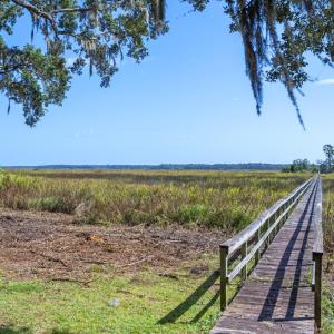 Photo #6 of Lot 5 Whitehall Ave., Georgetown, SC 18.7 acres