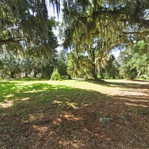 Photo #3 of Lot 5 Whitehall Ave., Georgetown, SC 18.7 acres