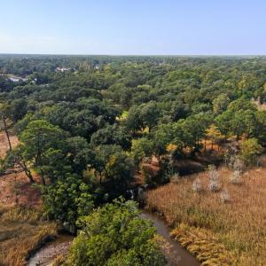 Photo #6 of Lot 5 Whitehall Ave., Georgetown, SC 18.7 acres