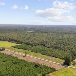 Photo #8 of Lot 5 Black Creek Dr., Nichols, SC 3.3 acres