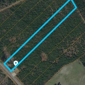 Photo #14 of Lot 5 Black Creek Dr., Nichols, SC 3.3 acres