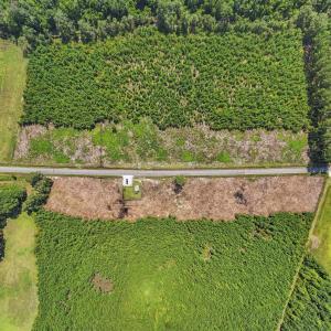 Photo #4 of Lot 5 Black Creek Dr., Nichols, SC 3.3 acres
