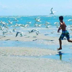 Photo #14 of TBD Oak St., Georgetown, SC 1.5 acres