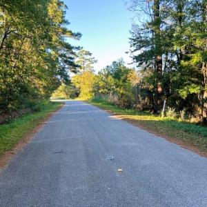 Photo #6 of TBD Oak St., Georgetown, SC 1.5 acres