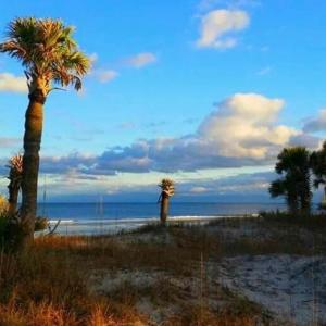 Photo #17 of TBD Oak St., Georgetown, SC 1.5 acres