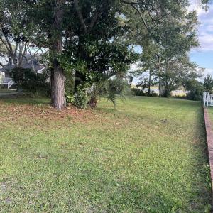 View of green lawn