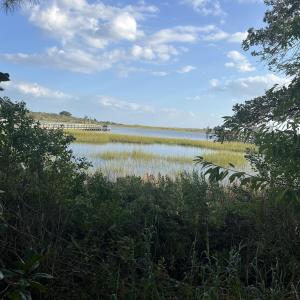 Water view