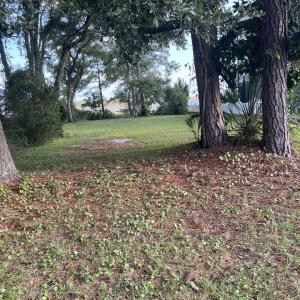 View of green lawn