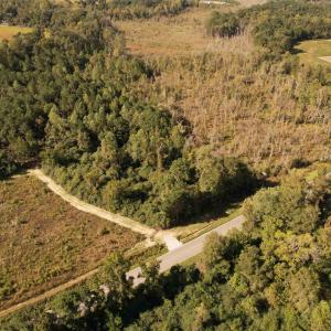 Photo #8 of 14.81 Acres - Deerfield Rd., Johnsonville, SC 14.8 acres
