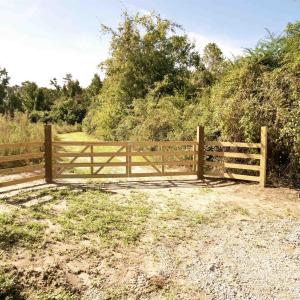 Photo #7 of 14.81 Acres - Deerfield Rd., Johnsonville, SC 14.8 acres