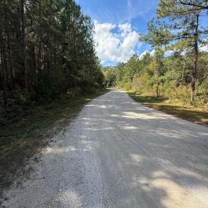 Road after entrance gate.