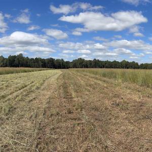 View of wooded area featuring a rural view